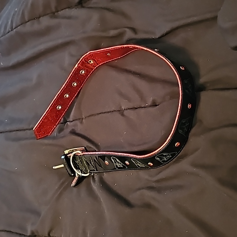 Extra large dog collar,  Darth Vader and red gemstones.